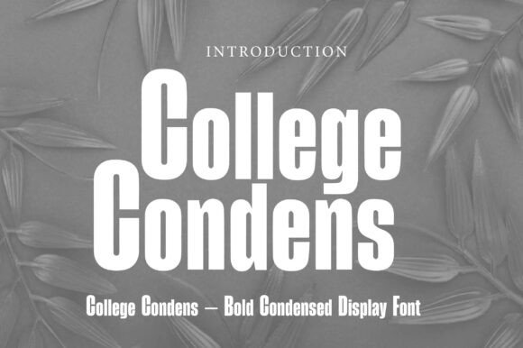 College Condens: Bold, Clear, and Unforgettable